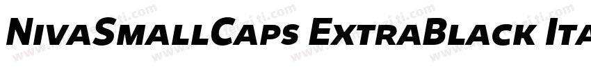 NivaSmallCaps ExtraBlack Italic字体转换
